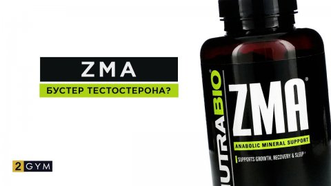 ZMA: Бустер тестостерона? Мифы и правда: польза добавки и применение в спорте